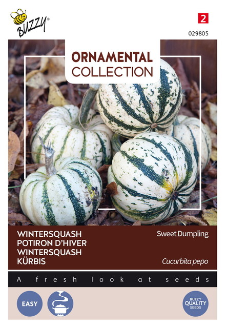 Buzzy® Ornamental Wintersquash Sweet Dumpling - afbeelding 1