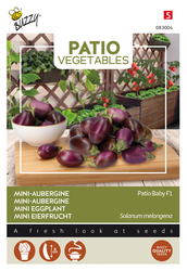 Buzzy® Patio Veggies, Aubergine Patio Baby F1 - afbeelding 1