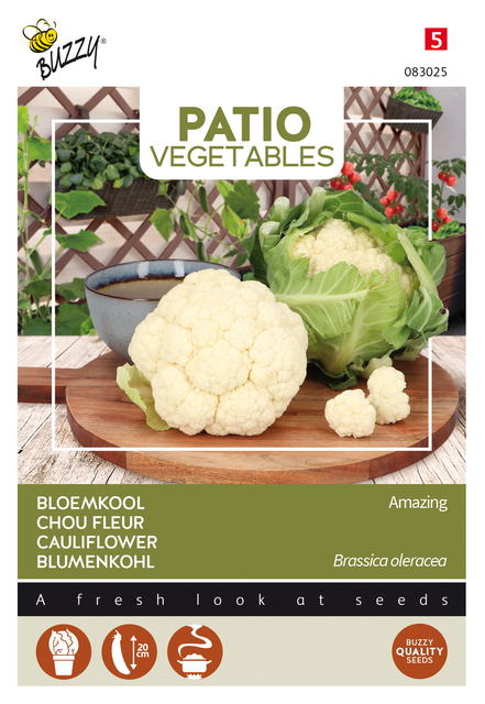 Buzzy® Patio Veggies, Bloemkool Amazing - afbeelding 1