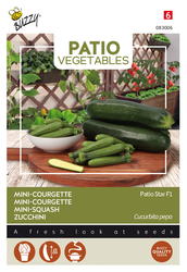 Buzzy® Patio Veggies, Courgette Patio Star F1 - afbeelding 1