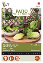 Buzzy® Patio Veggies, Romeinse Mini-sla (gemengd) - afbeelding 1