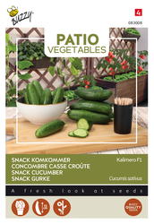 Buzzy® Patio Veggies, Snackkomkommer Kalimero F1 - afbeelding 1