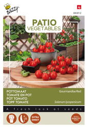 Buzzy® Patio Veggies, Tomaat Gourmandise Red - afbeelding 1