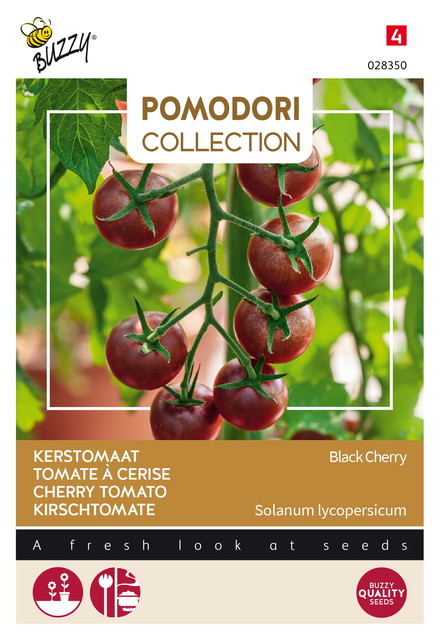 Buzzy® Pomodori, Kerstomaat Black Cherry - afbeelding 1
