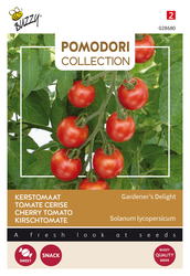 Buzzy® Pomodori, Kerstomaat Gardeners Delight (Cherry) - afbeelding 1