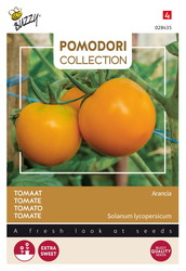 Buzzy® Pomodori, Tomaat Arancia - afbeelding 1