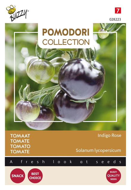 Buzzy® Pomodori Tomaat Indigo rose (zwart) - afbeelding 1