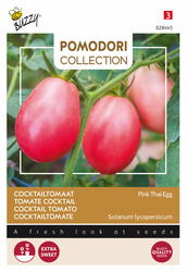 Buzzy® Pomodori, Tomaat Pink Thai Egg - afbeelding 1