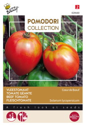 Buzzy® Pomodori, Vleestomaat Cœur de Bœuf - afbeelding 1