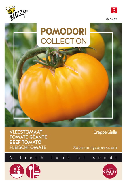 Buzzy® Pomodori, Vleestomaat Grappa Gialla - afbeelding 1