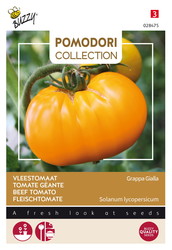 Buzzy® Pomodori, Vleestomaat Grappa Gialla - afbeelding 1