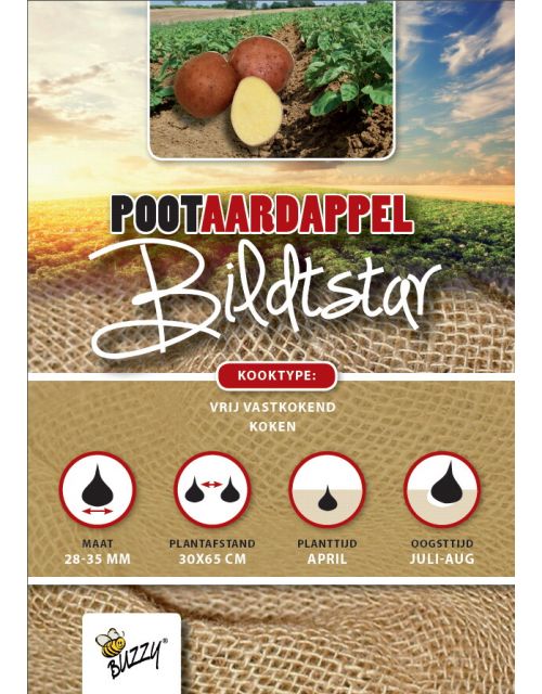 Buzzy  Pootaardappel Bildtstar 1kg
