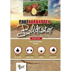 Buzzy Pootaardappel Bildtstar 1kg