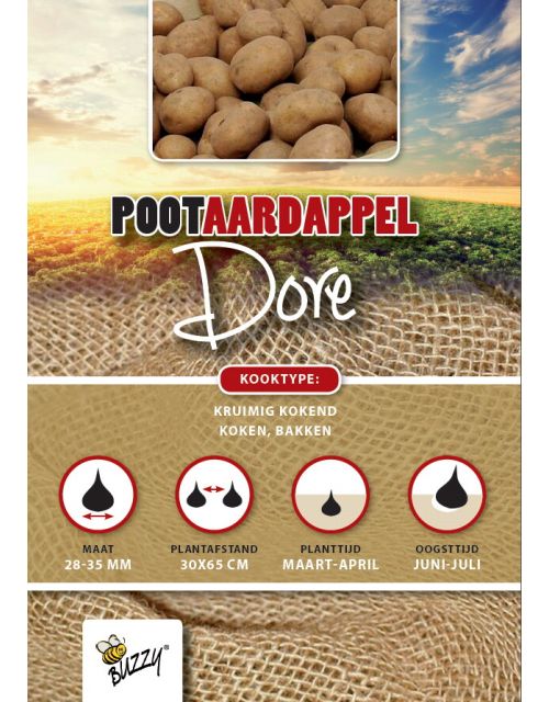 Buzzy  Pootaardappel Dore 1kg