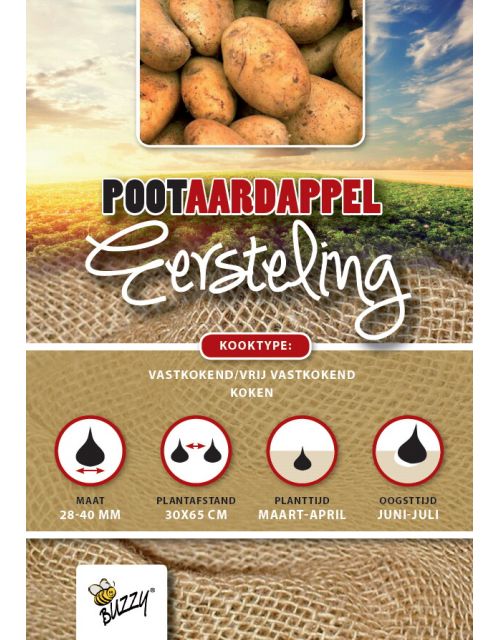 Buzzy  Pootaardappel Eersteling 1kg