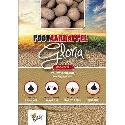 Buzzy  Pootaardappel Gloria 1kg