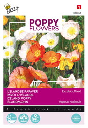 Buzzy® Poppy Flowers, IJslandse papaver - afbeelding 1