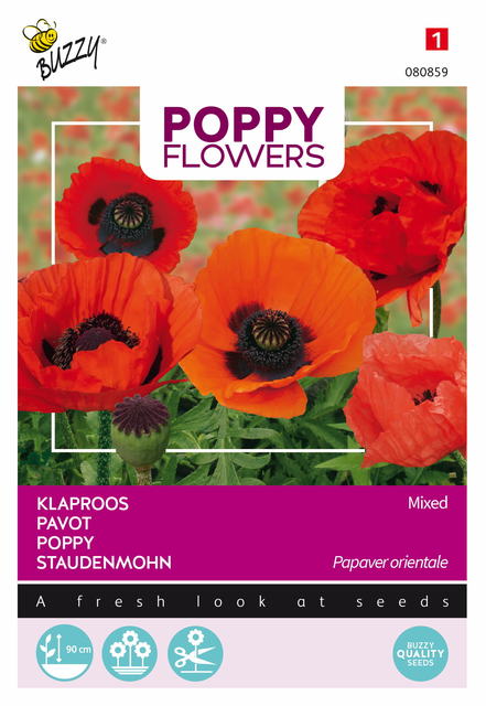 Buzzy® Poppy Flowers, Oosterse klaproos gemengd - afbeelding 1