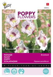 Buzzy® Poppy Flowers, Papaver Blauwmaanzaad - afbeelding 1