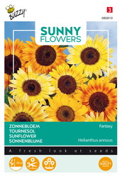 Buzzy® Sunny Flowers, Zonnebloem Fantasy - afbeelding 1