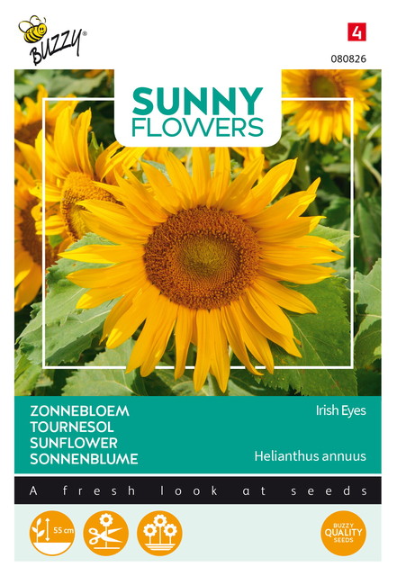 Buzzy® Sunny Flowers, Zonnebloem Irish Eyes - afbeelding 1