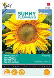 Buzzy® Sunny Flowers, Zonnebloem King Kong - afbeelding 1