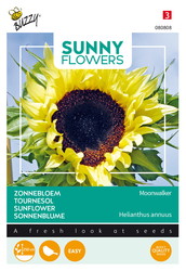 Buzzy® Sunny Flowers, Zonnebloem Moonwalker - afbeelding 1