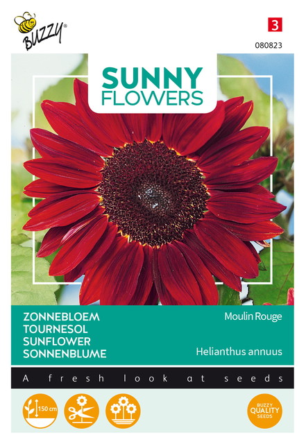 Buzzy® Sunny Flowers, Zonnebloem Moulin Rouge - afbeelding 1