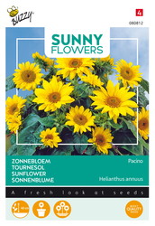 Buzzy® Sunny Flowers, Zonnebloem Pacino Gold - afbeelding 1