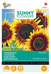 Buzzy® Sunny Flowers, Zonnebloem Ring of Fire - afbeelding 1