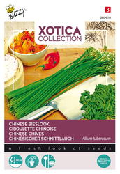 Buzzy® Xotica Chinese Bieslook - afbeelding 2