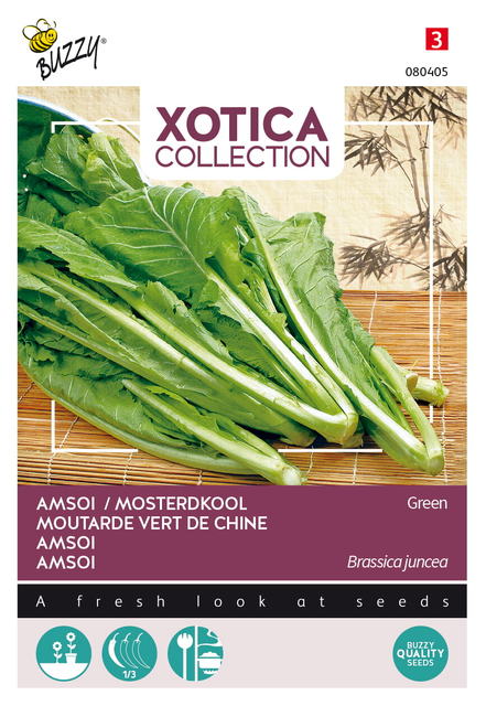 Buzzy® Xotica Groene Amsoi of mosterdkool - afbeelding 1