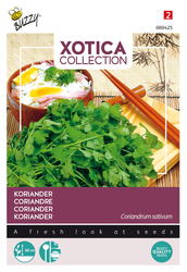 Buzzy® Xotica Koriander - afbeelding 1