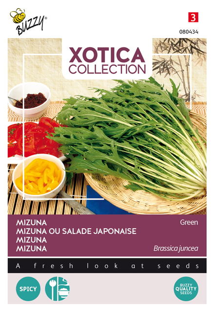 Buzzy® Xotica Mizuna, Japanse salade - afbeelding 1