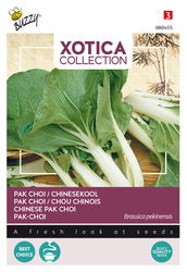 Buzzy® Xotica Pak choi Chinese kool - afbeelding 1