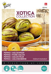 Buzzy® Xotica Pepino, Meloenpeer - afbeelding 1