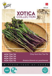 Buzzy® Xotica Purple Choy Sum Hon Tsai Tai - afbeelding 1
