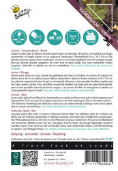 Buzzy® Xotica Rode Amsoi of Mosterdkool - afbeelding 2
