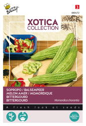 Buzzy® Xotica Sopropo, Balsempeer - afbeelding 2
