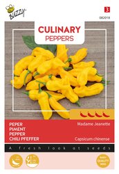 Buzzy Zaden culinary peppers madame jeanette