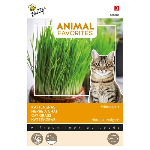 Buzzy Zaden kattengras 20g