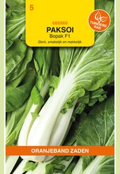 Buzzy Zaden paksoi bopak 100zdn