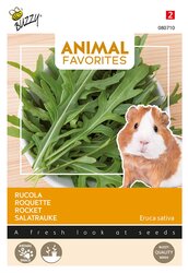 Buzzy Zaden rucola voor cavia s 2g