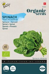 Buzzy Zaden spinazie reuzenblad 15g