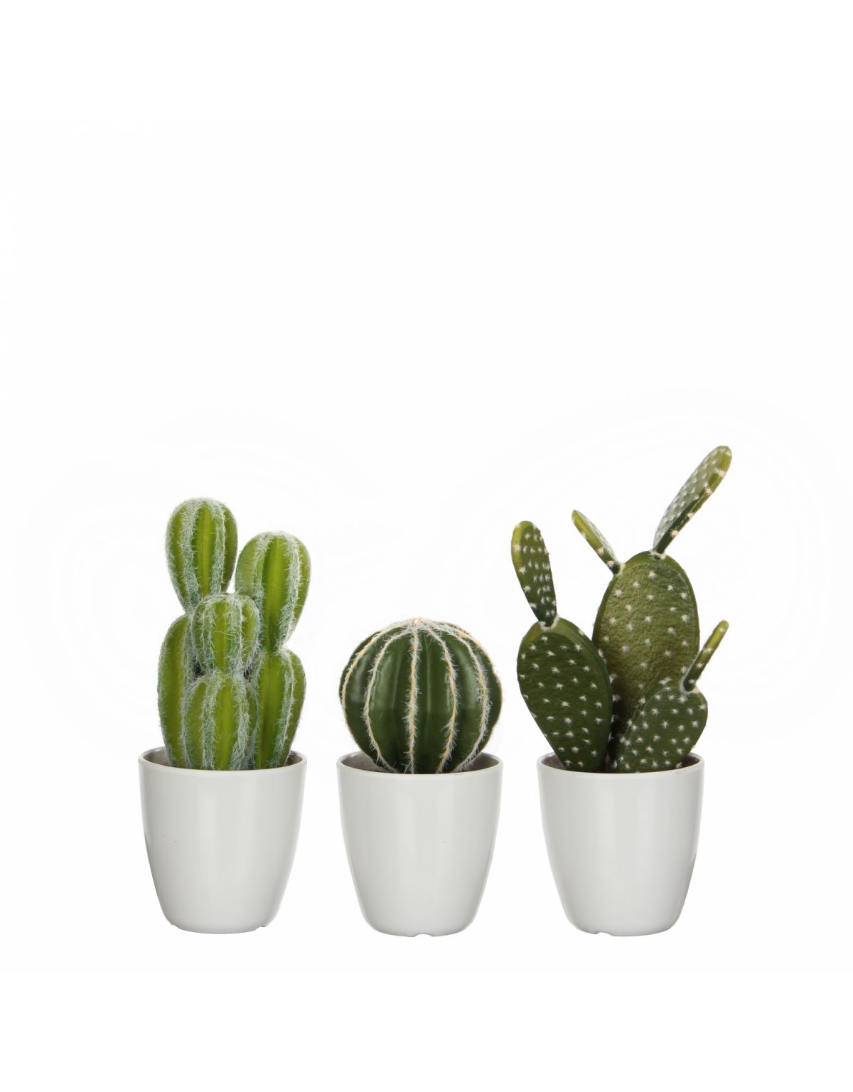 Cactus in plastic pot groen 3 assorti - h28xd9,5cm - Bloem- en Tuincentrum