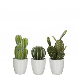 Cactus in plastic pot groen 3 assorti - h28xd9,5cm