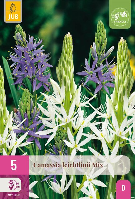 Camassia caerulea mix 5st - afbeelding 1