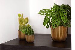 Capi Europe bloempot bol groove goud h21xb24 Ø21 cm - afbeelding 2