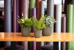 Capi europe bloempot bol groove kunstgras groen H20xB22 Ø20 cm - afbeelding 2