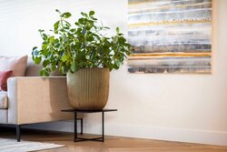 Capi Europe bloempot bol groove nl goud h52xb54 Ø 48  - afbeelding 3